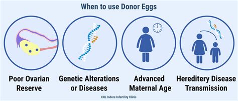 donor eggs nevada.